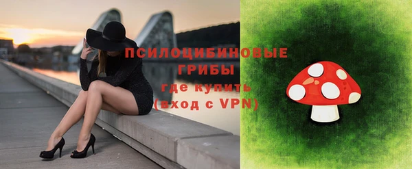 индика Дмитриев