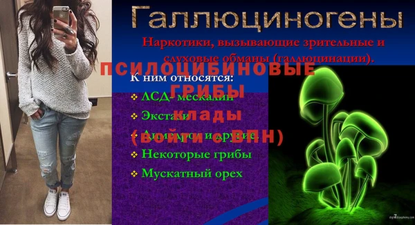 молекула духа Богородск