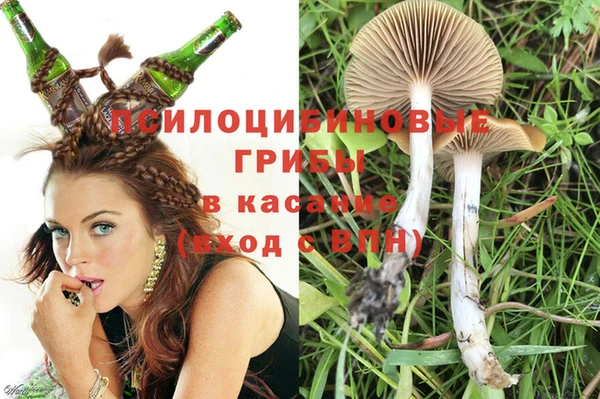 молекула духа Богородск