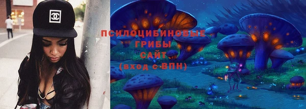 2c-b Богородицк