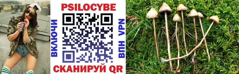 закладки Улан-Удэ Псилоцибиновые грибы Magic Shrooms