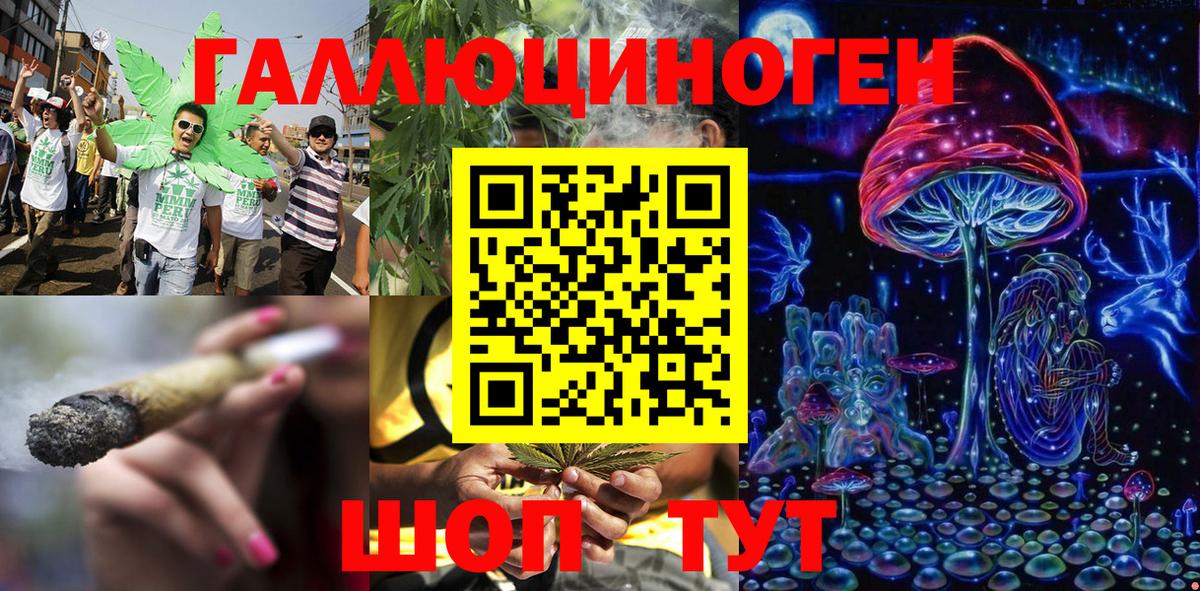 Псилоцибиновые грибы Psilocybine cubensis  Вход с VPN  Улан-Удэ  Галлюциногенные грибы Magic Shrooms 