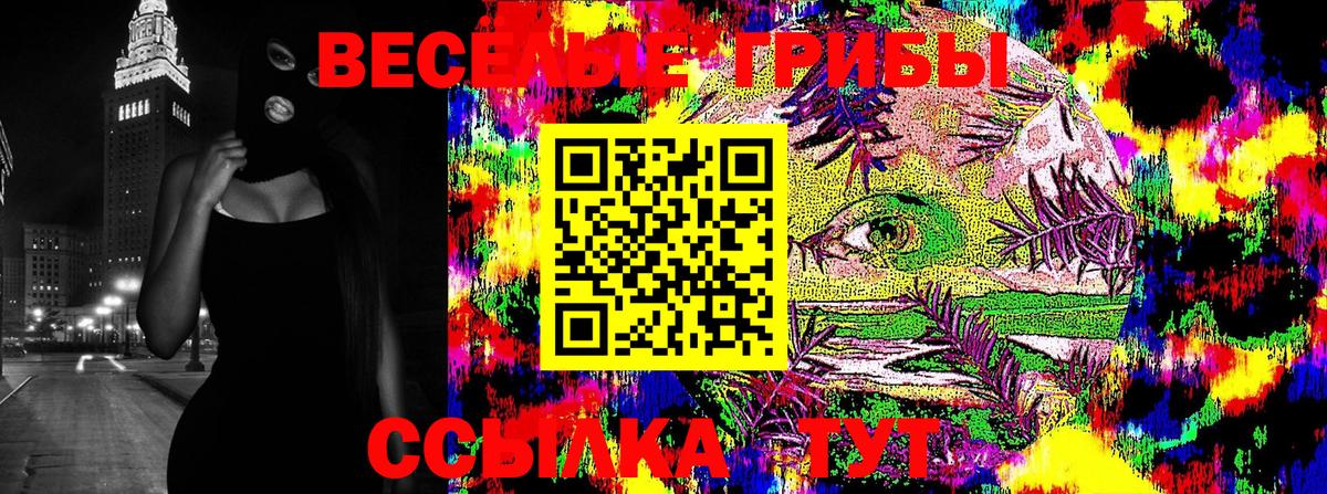 Галлюциногенные грибы Psilocybe Улан-Удэ
